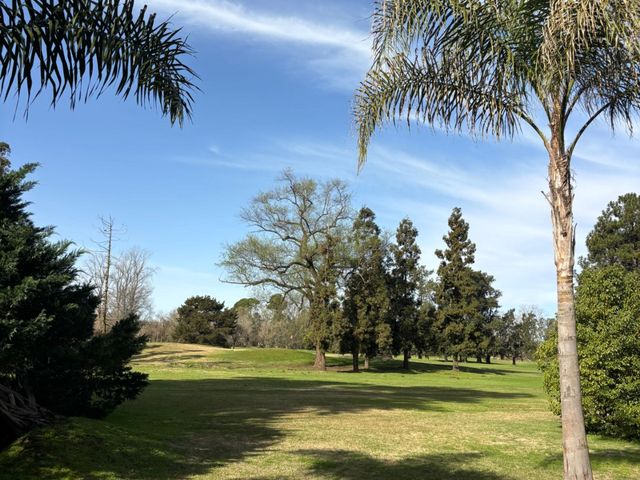 place photo 36