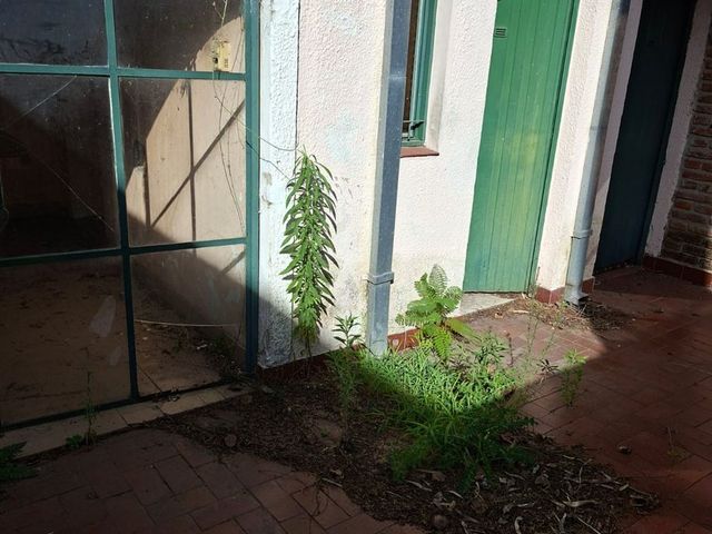place photo 41