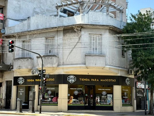 place photo 36