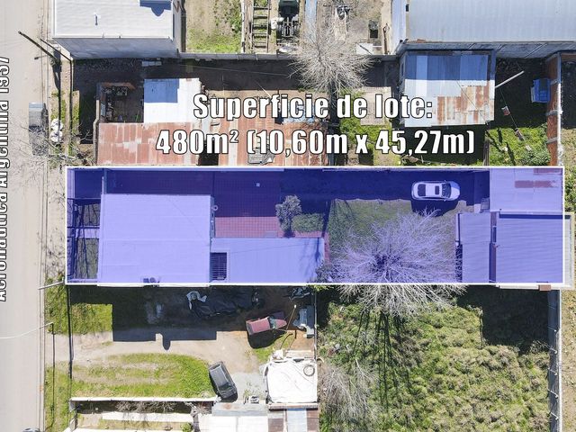 place photo 38