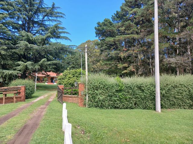 place photo 12