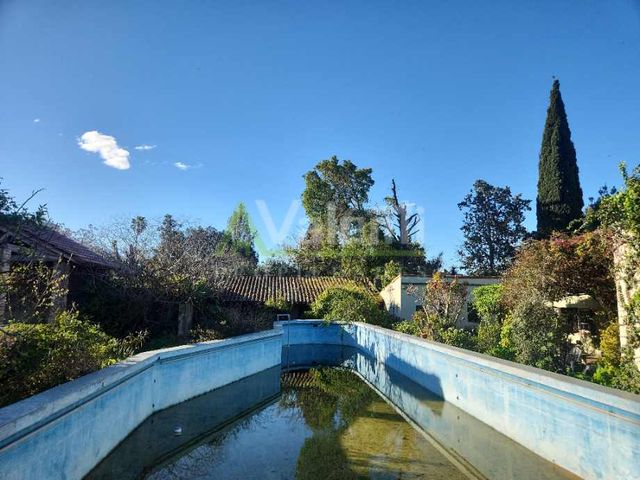 place photo 43