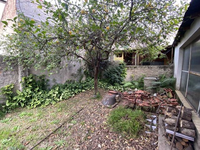 place photo 58
