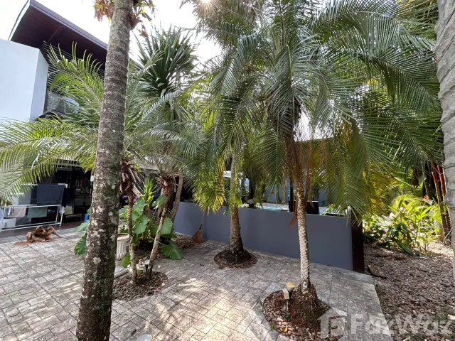 place photo 34