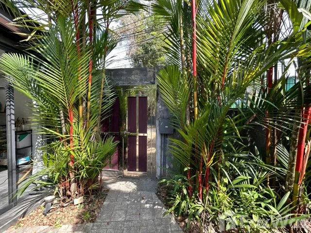 place photo 33