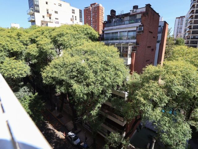 place photo 45