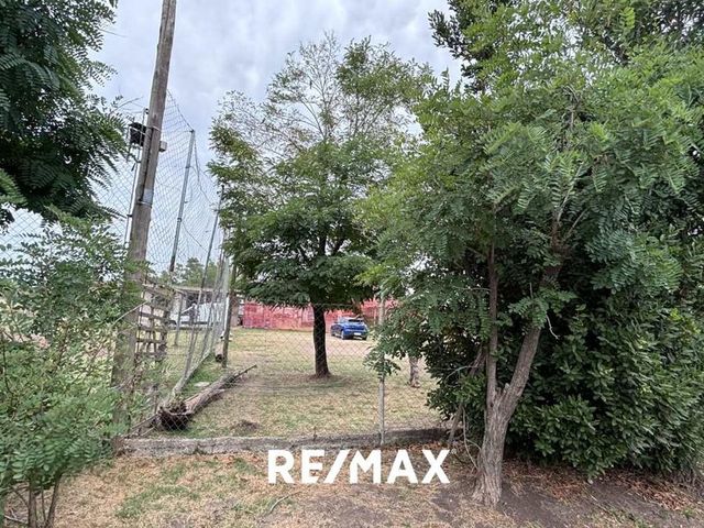 place photo 37