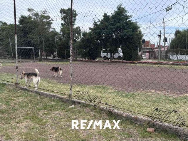 place photo 31