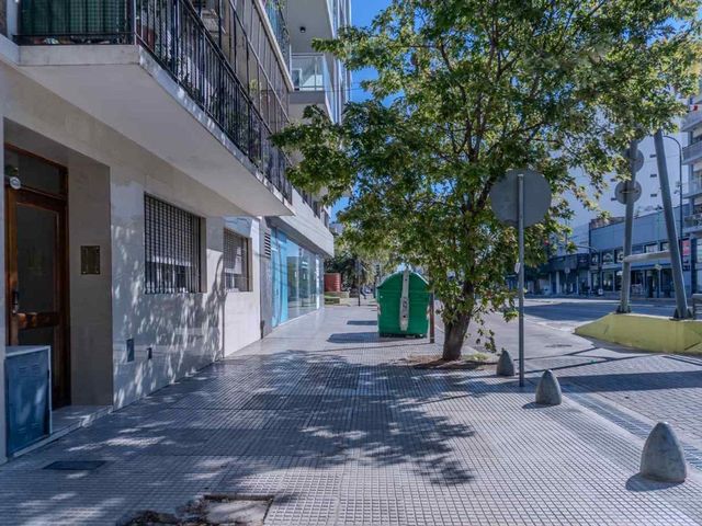 place photo 38