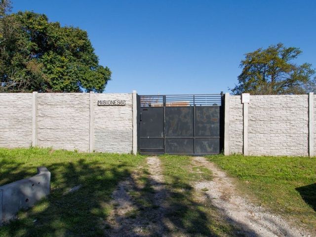 place photo 38