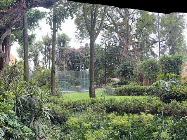 place photo 49