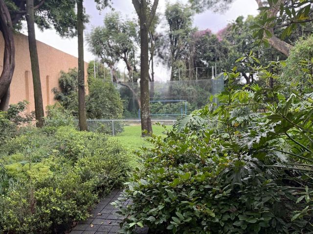 place photo 47