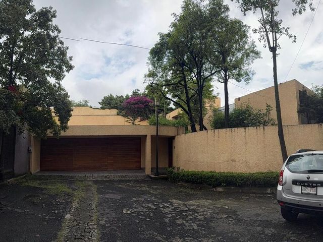 place photo 46