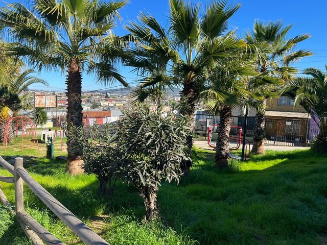 place photo 26