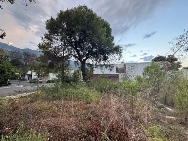 place photo 15