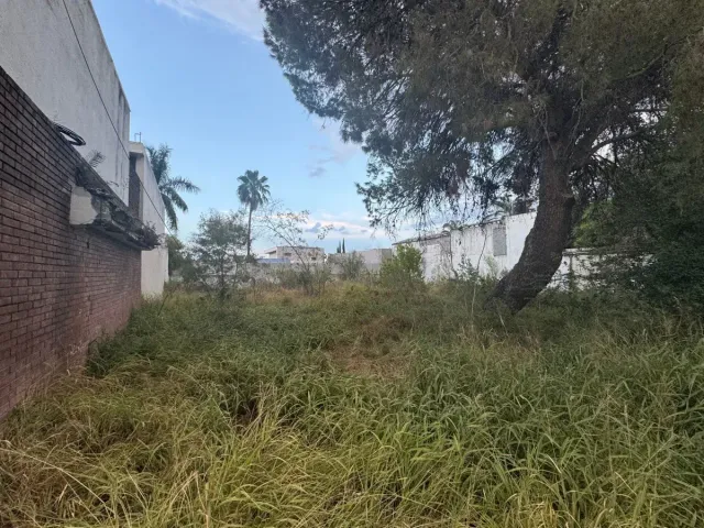 place photo 21