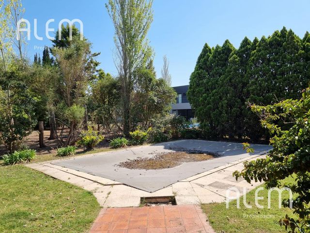 place photo 26