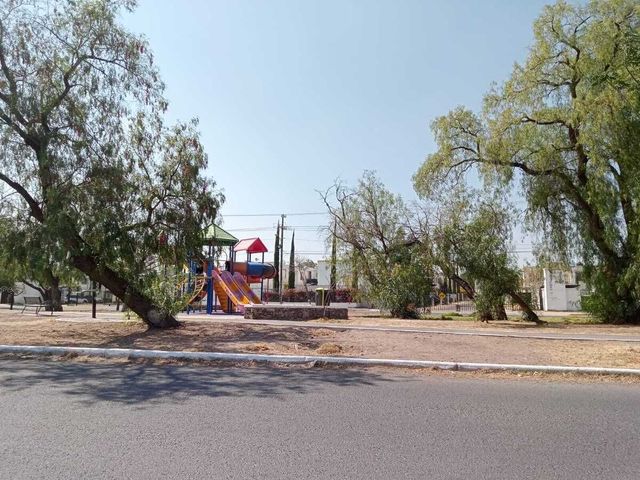 place photo 19