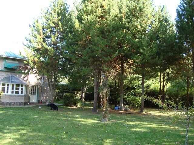 place photo 37