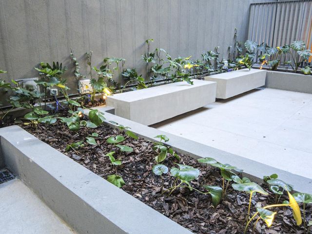 place photo 20