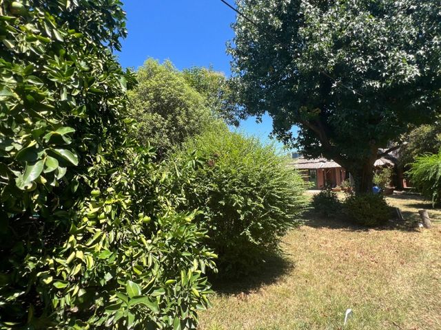 place photo 44