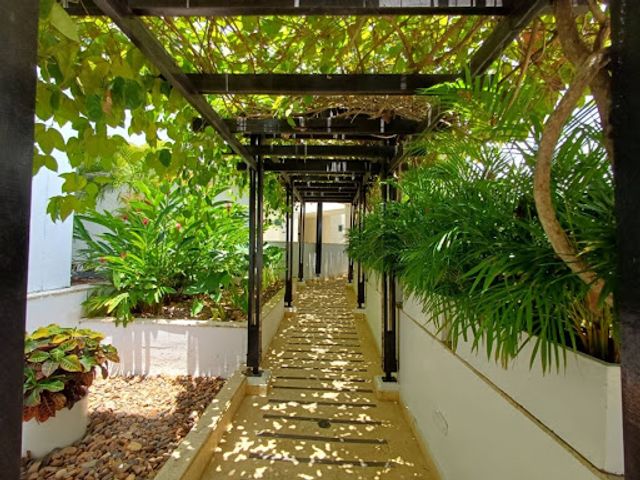 place photo 22