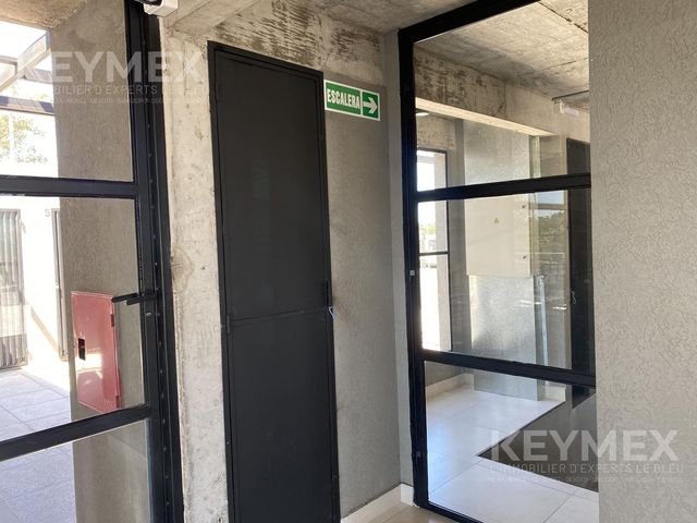 place photo 37