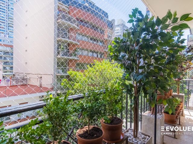 place photo 14