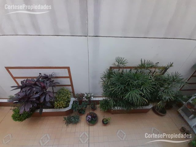 place photo 37