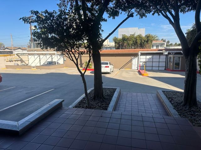 place photo 17