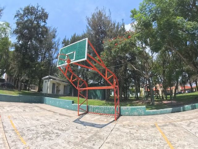 place photo 14
