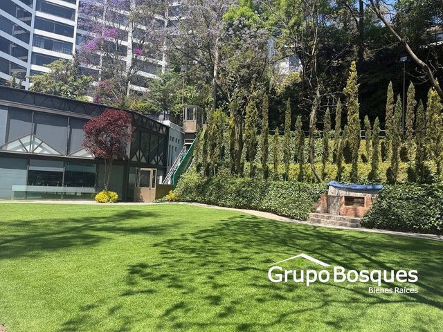 place photo 38