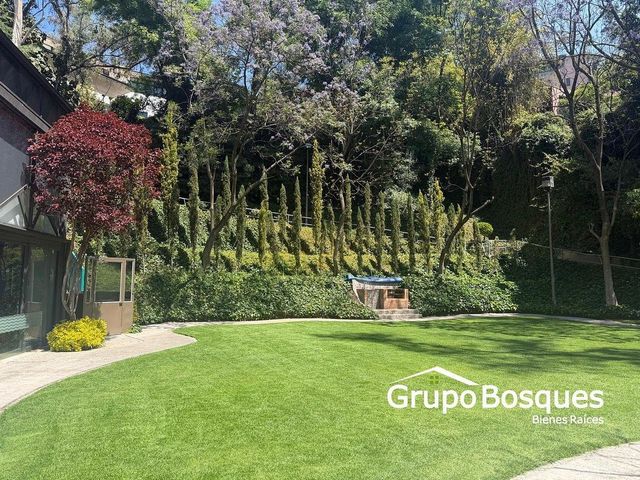 place photo 39