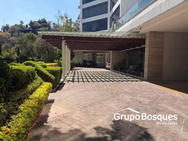 place photo 49