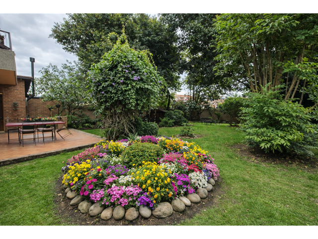 place photo 23
