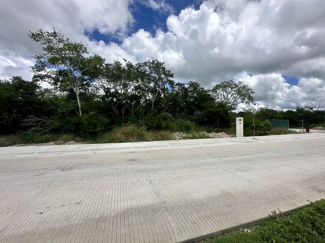 place photo 16