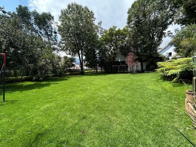 place photo 42