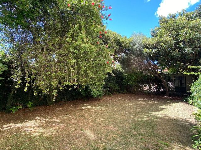place photo 45