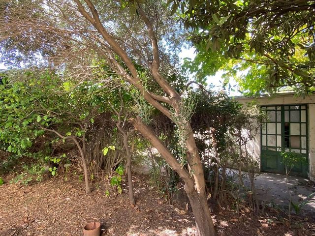 place photo 43
