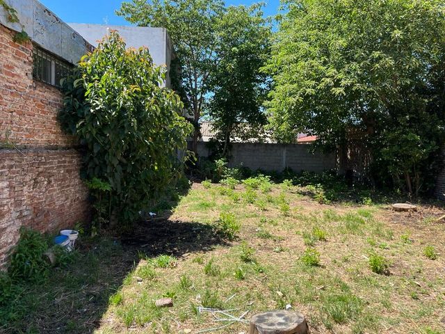 place photo 37