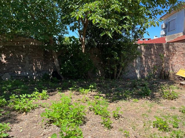 place photo 38