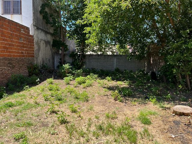 place photo 36