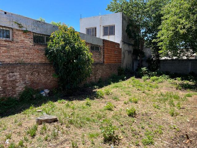 place photo 34