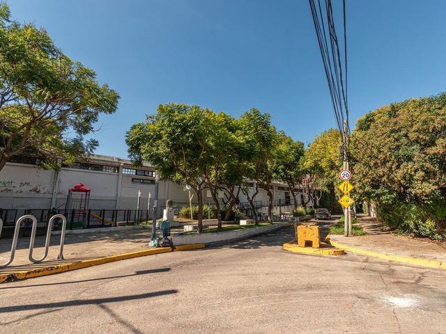 place photo 49