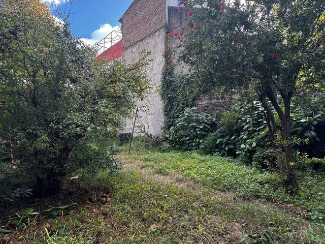 place photo 49