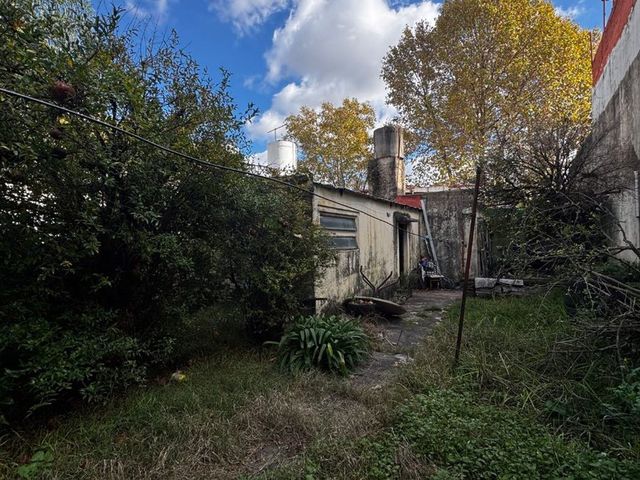 place photo 26
