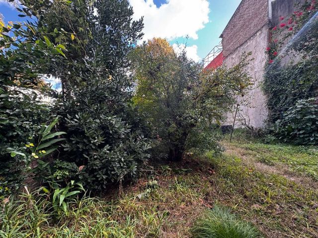 place photo 47
