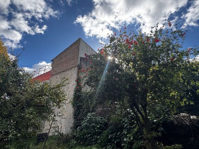 place photo 48