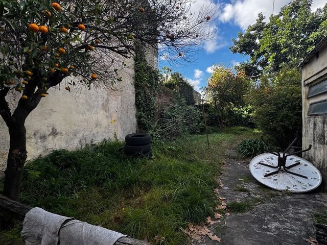 place photo 46