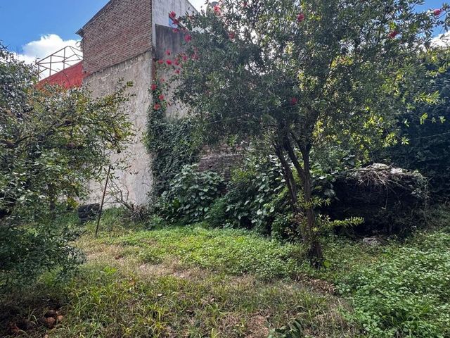 place photo 45